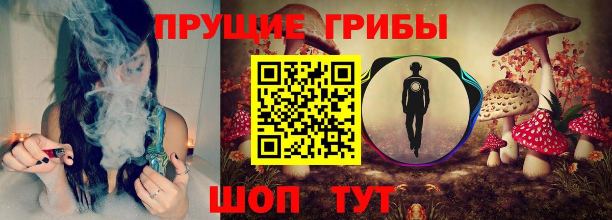 Курчалой  Псилоцибиновые грибы мухоморы  Вход с VPN  Псилоцибиновые грибы Cubensis 