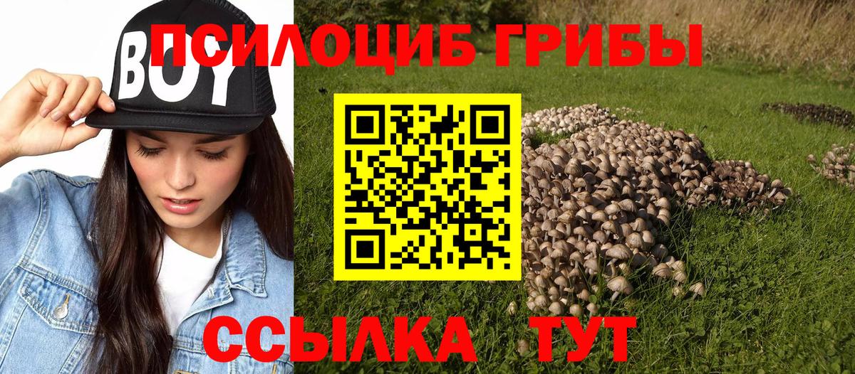 Галлюциногенные грибы мицелий Курчалой